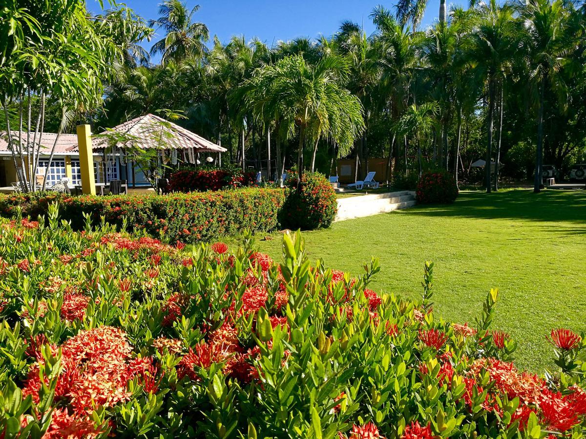 Hotel M&M Garden House Coco Dış mekan fotoğraf