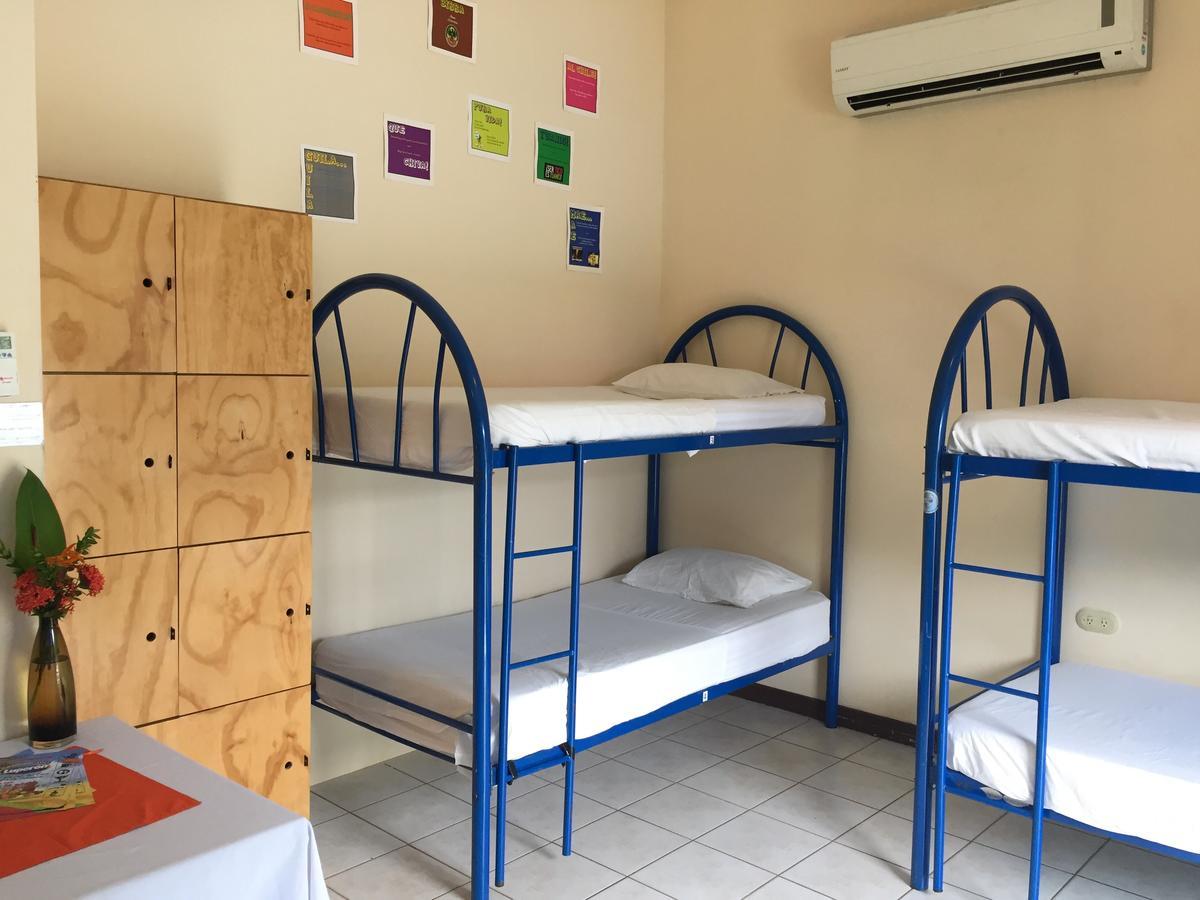 Hotel M&M Garden House Coco Dış mekan fotoğraf
